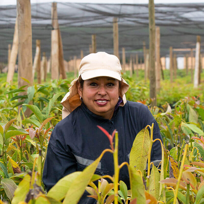 Nuestra empresa - San Jose Farms